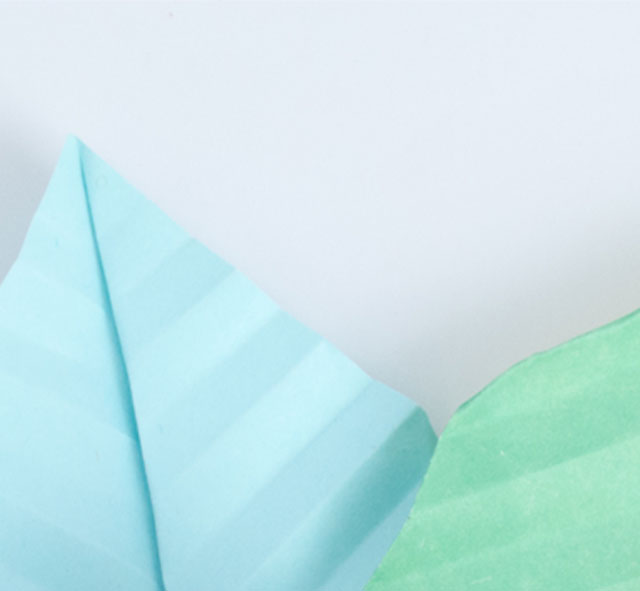 ʯ��ׯ�»�����ѧУ