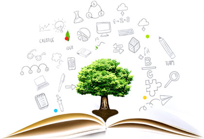 ʯ��ׯ�»�����ѧУ