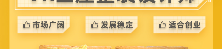 ʯ��ׯ�»�����ѧУ