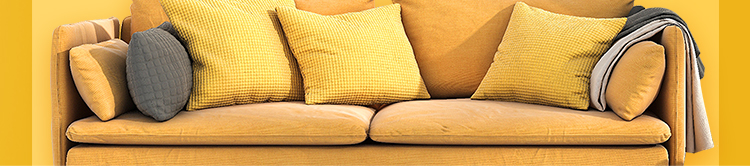 ʯ��ׯ�»�����ѧУ